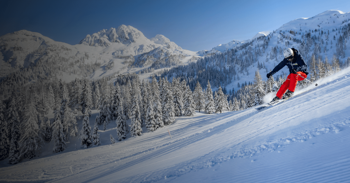 narty-autokarem-porady (2) (1).png