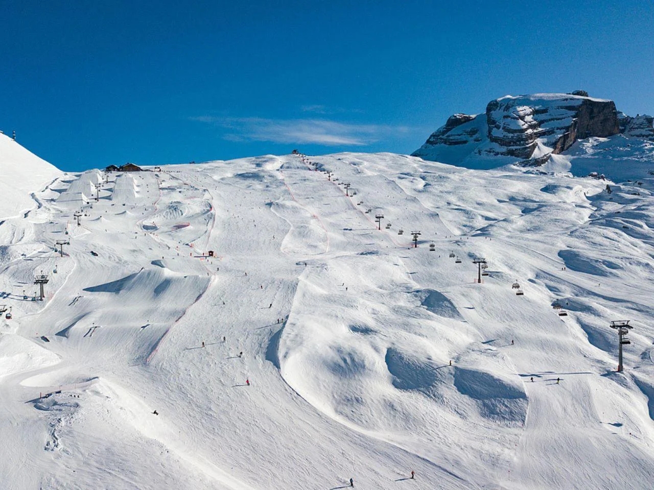 ROSA DELLE DOLOMITI22