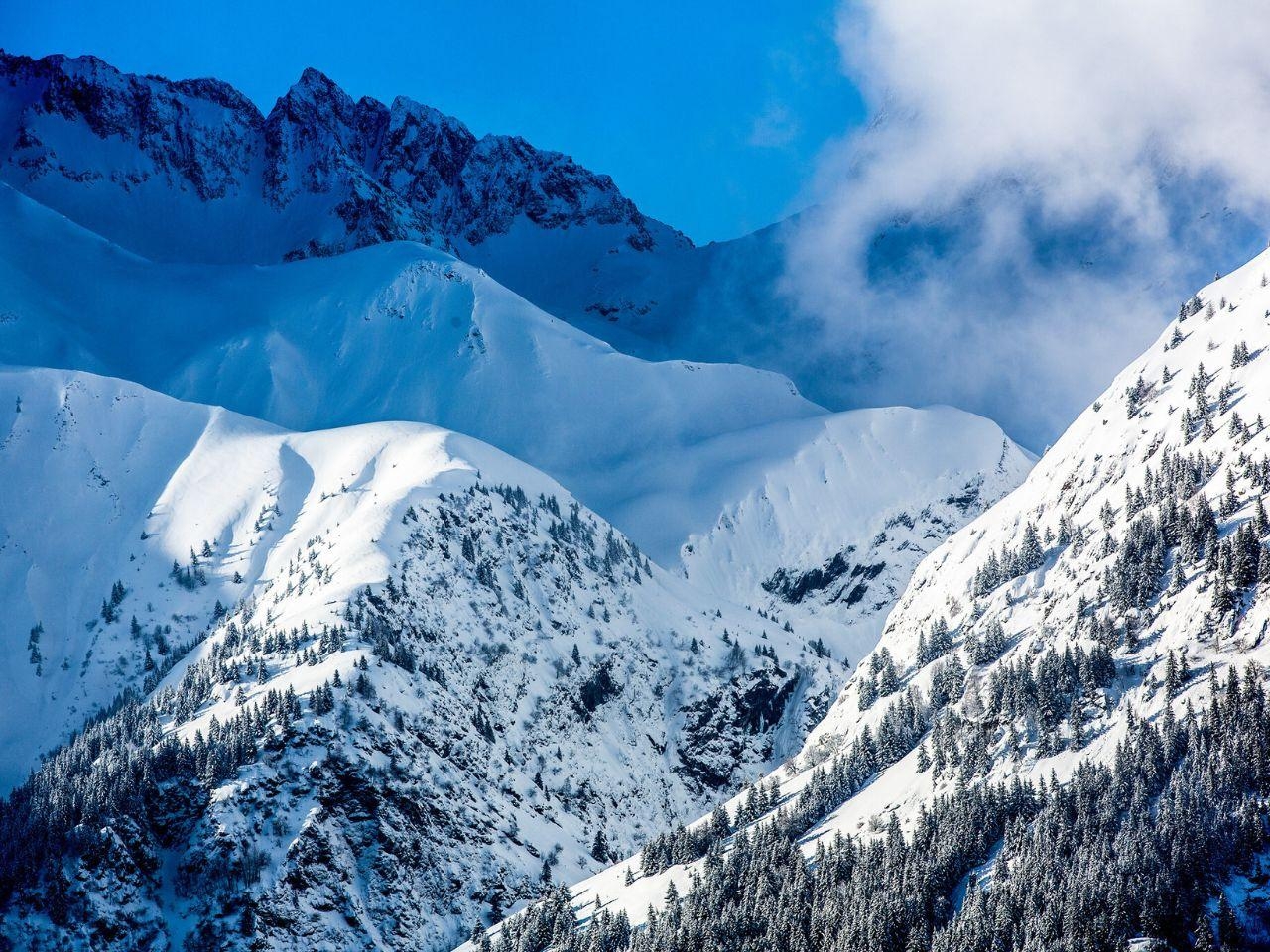 L'OURS BLANC15