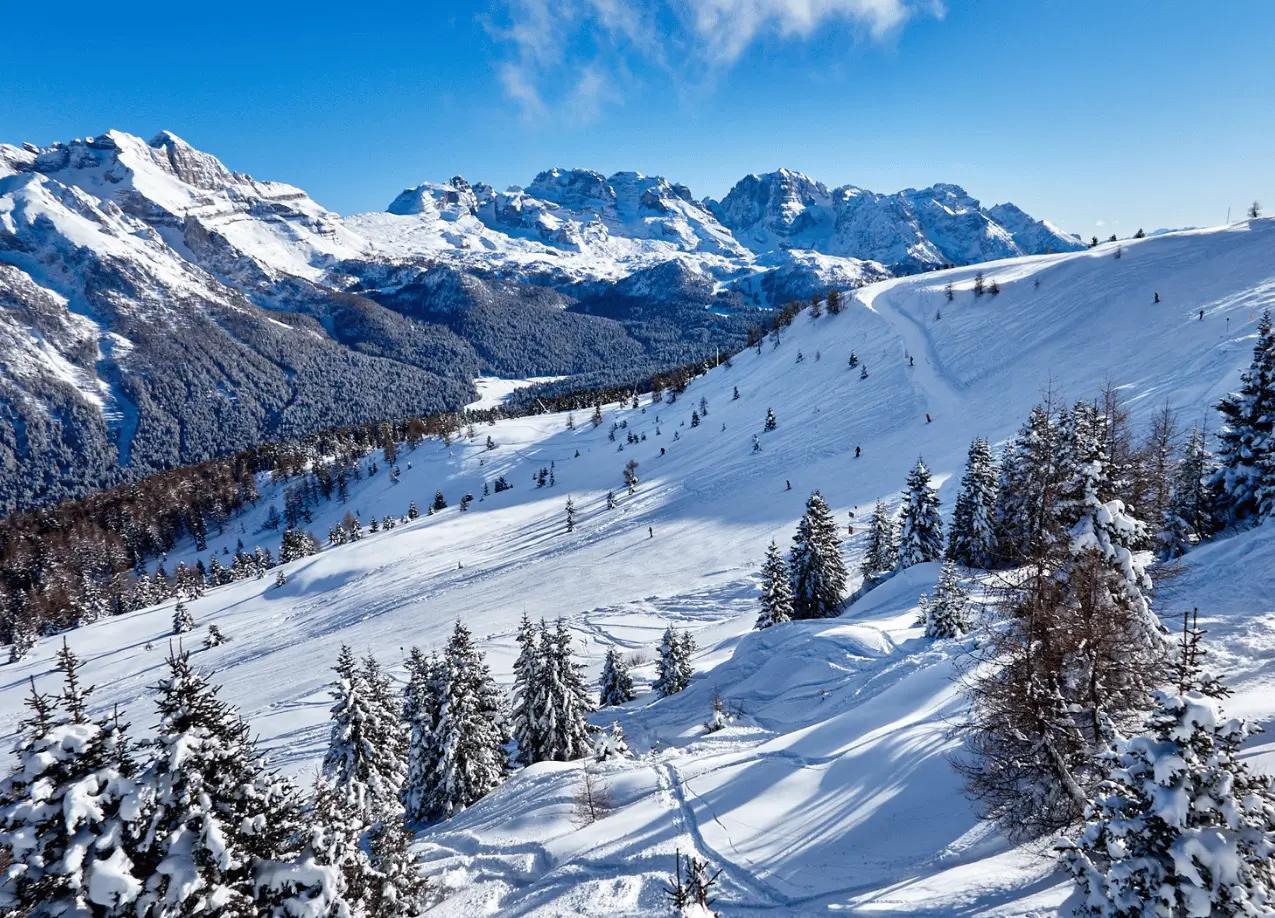 Free Ski w Marcu VAL DI SOLE 