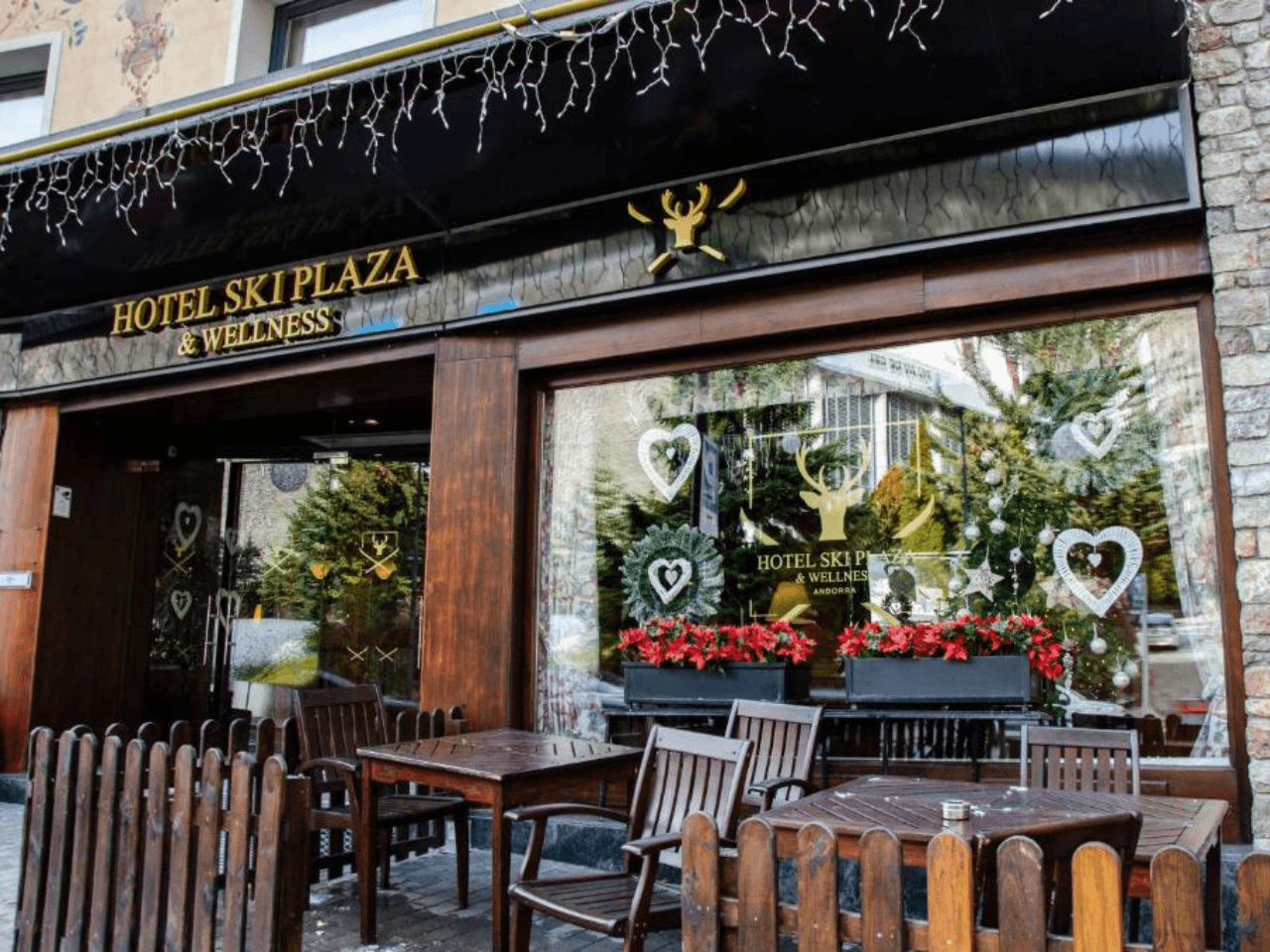 SKI PLAZA - zdjęcie 2