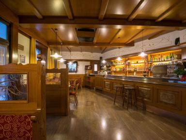 CERVO - miniatura 15