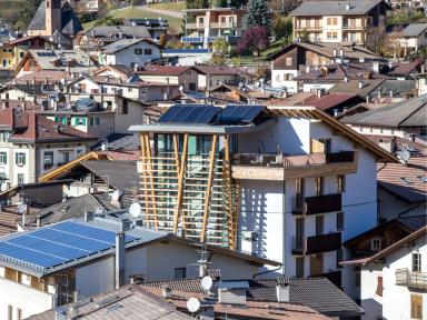 CERVO - miniatura 18