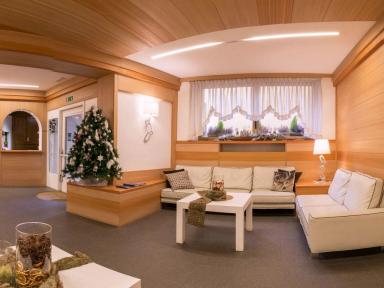 CERVO - miniatura 13