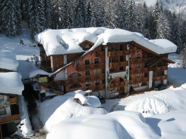 ACTIVE GARNI DAL BRACCONIERE - miniatura 2