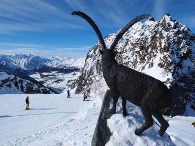 CASTELLO - miniatura 12