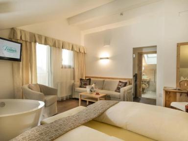 LEITNER - miniatura 12