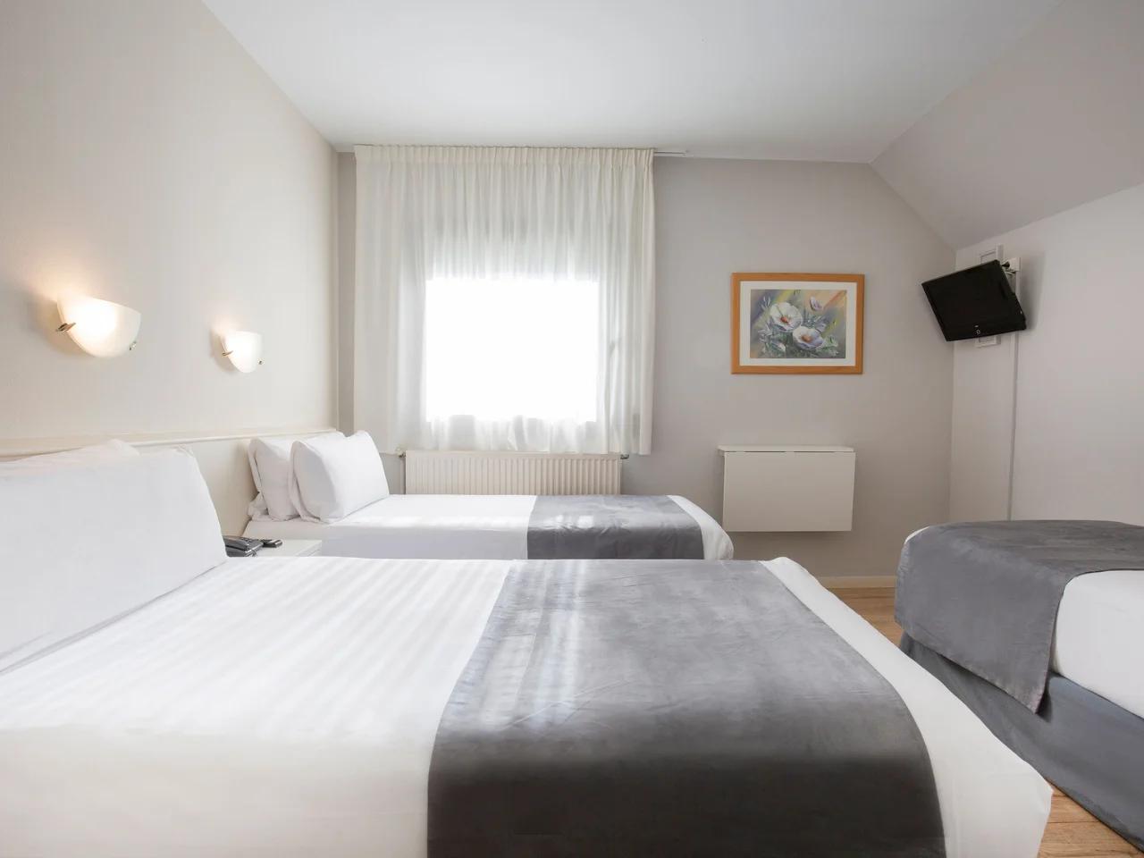 CAMELLOT - zdjęcie 3