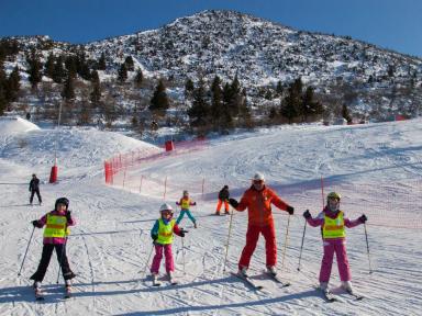 OLYMPIC ROYAL Wygoda Family - miniatura 38