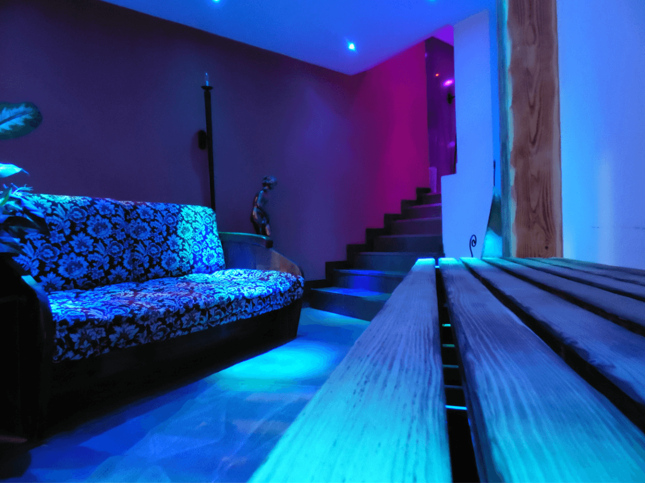 OLYMPIC ROYAL Wygoda Family23