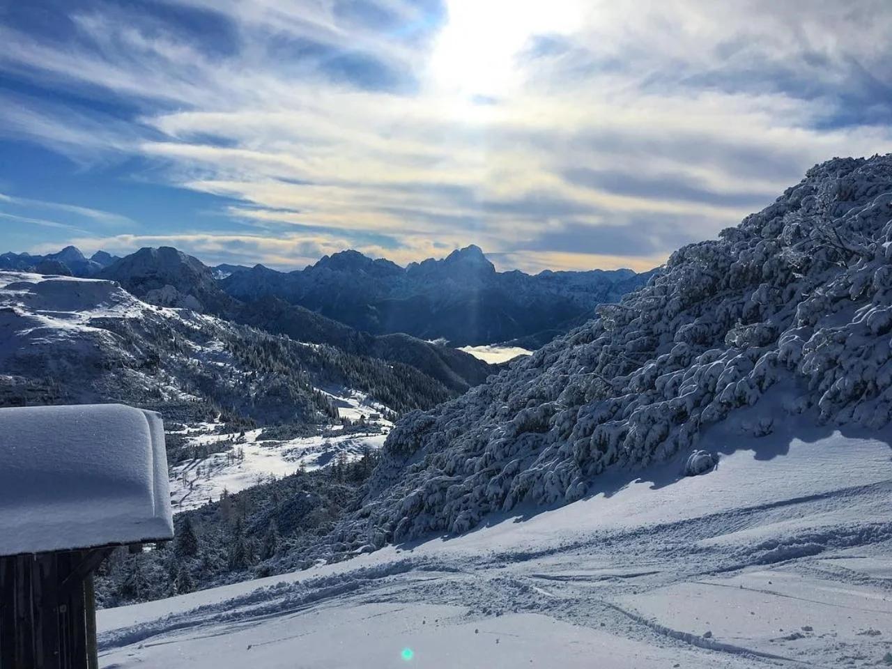 FRANZ FERDINAND - zdjęcie 24