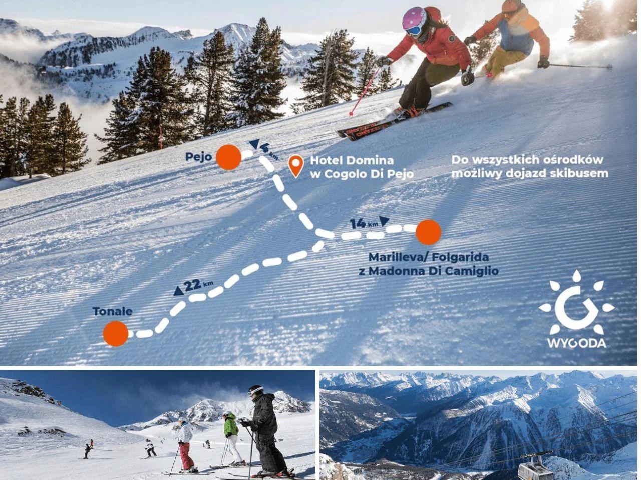 DOMINA Wygoda Family - zdjęcie 25