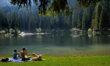 Artuik apt. 2os. LATO - miniatura 13