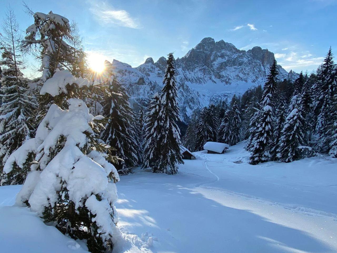 ALLA POSTA CIVETTA - zdjęcie 16