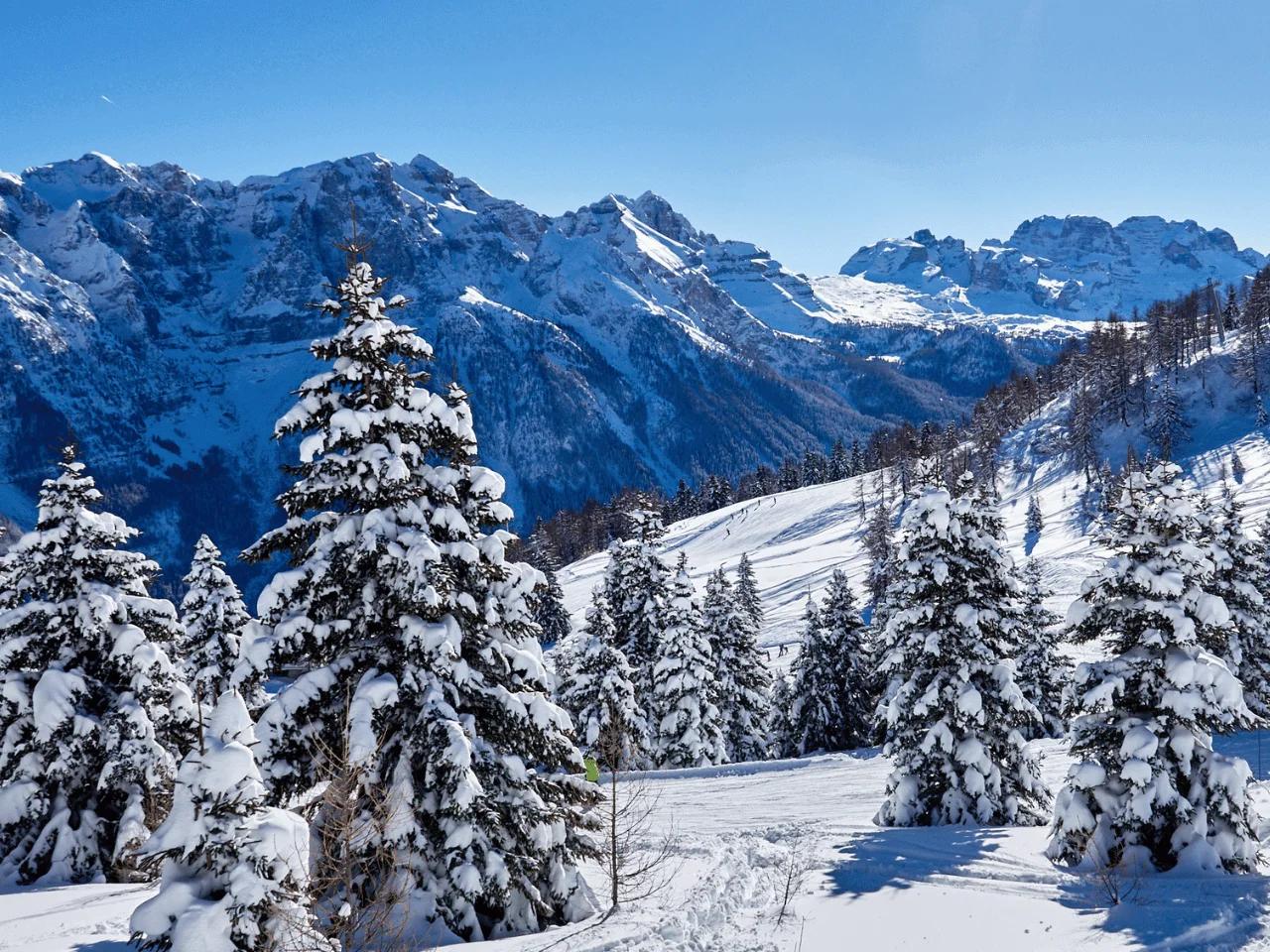 WYGODA Marilleva apt. 2-4os. - zdjęcie 18