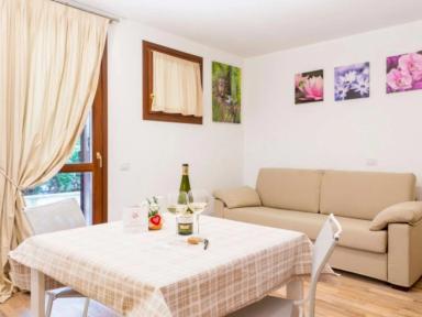 ROSA DELLE DOLOMITI - miniatura 13