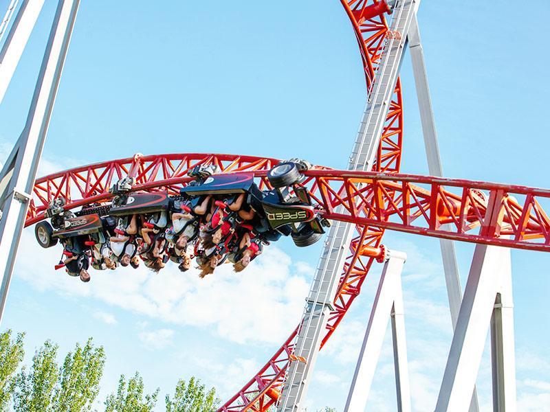 WYCIECZKA SZKOLNA DLA - XXVII LO - zdjęcie 5