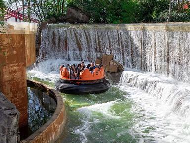 WYCIECZKA SZKOLNA DLA - XXVII LO - miniatura 4