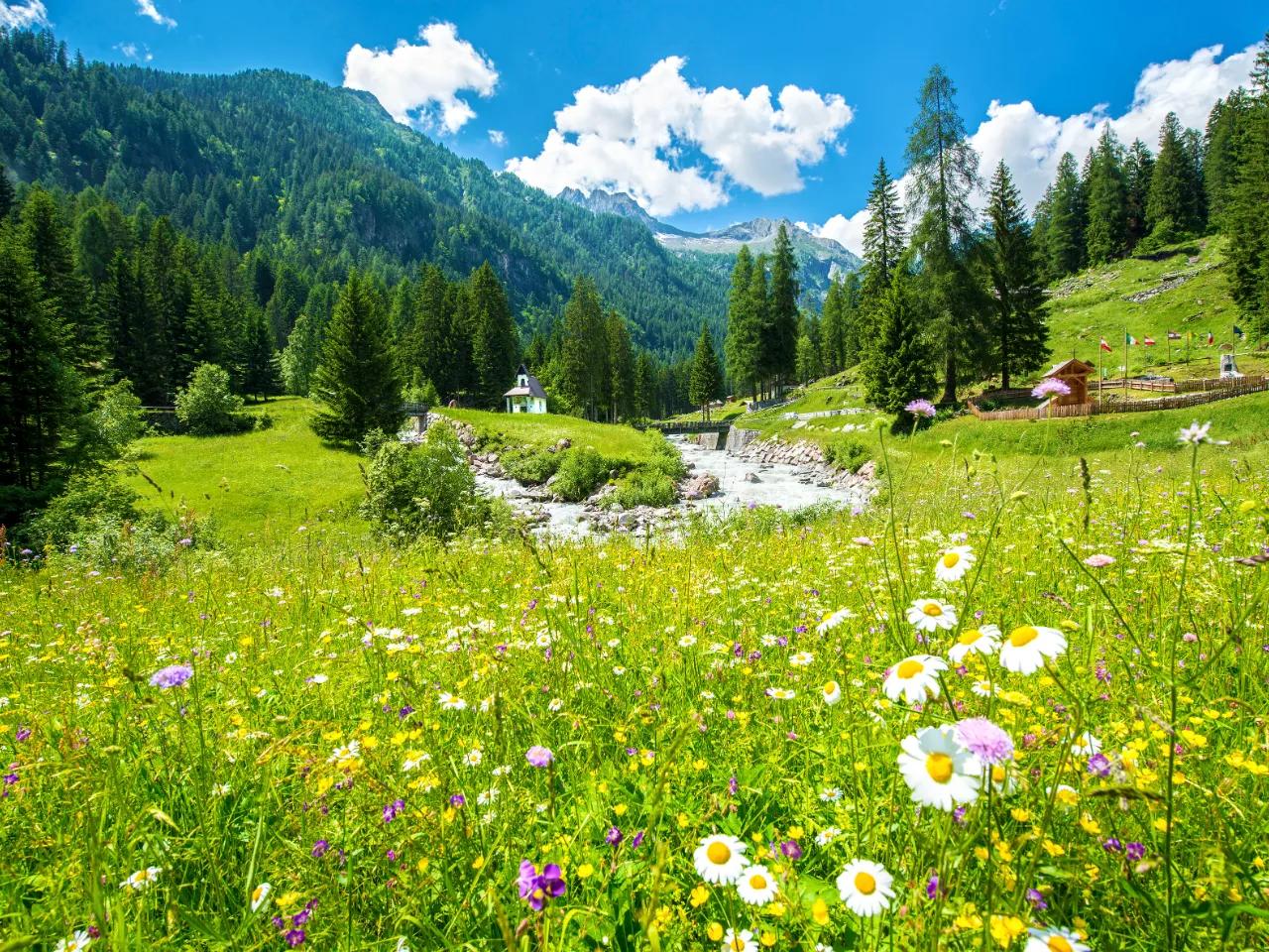 WYGODA Marilleva LATO apt. 2os. - zdjęcie 20