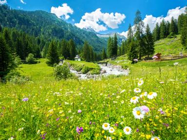 WYGODA Marilleva LATO apt. 2os. - miniatura 20