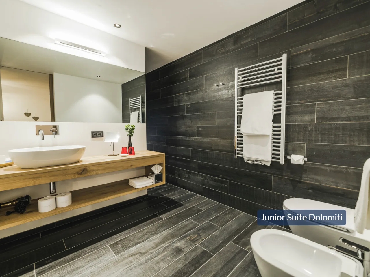 CHALET S DOLOMITES19